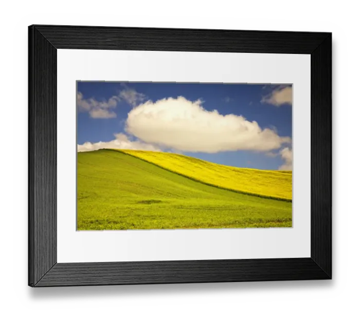 Framed Print : North America; USA; Washington; Palouse Country; Rolling Hills of Canola and Pea Fields