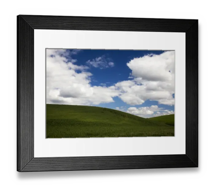 Framed Print : North America; USA; Washington; Palouse Country; Rolling Hills of Green Spring Wheat