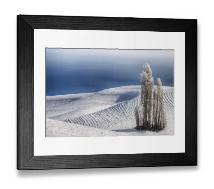 Framed Print : North Americas; USA; Washington; Tree group in Wheat Field with Patterns and Snow Framed Print : North Americas; USA; Washington; Tree group in Wheat Field with Patterns and Snow