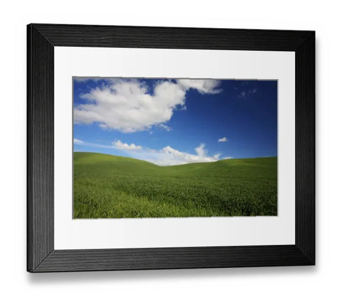 Framed Print : North America; USA; Washington; Palouse Country; Rolling Hills of Green Spring Wheat