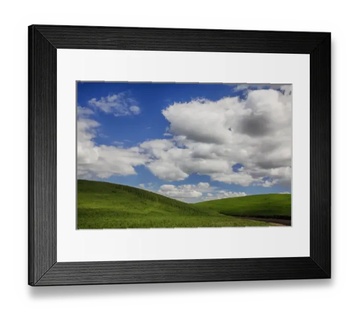 Framed Print : North America; USA; Washington; Palouse Country; Back road through the green fields of Framed Print : North America; USA; Washington; Palouse Country; Back road through the green fields of