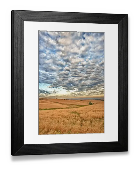 Framed Print : USA, Washington, Walla Walla. Dawn breaks on a wheatfield in Walla Walla Framed Print : USA, Washington, Walla Walla. Dawn breaks on a wheatfield in Walla Walla