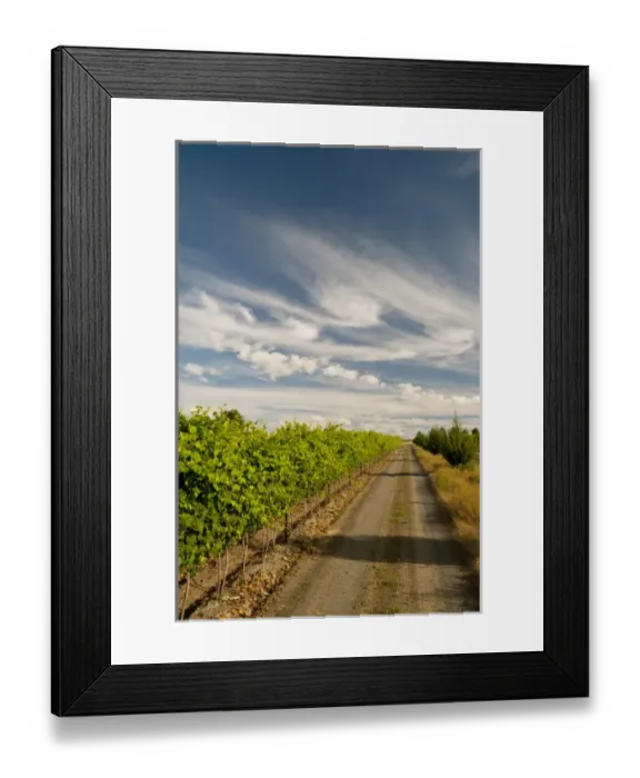 Framed Print : USA, Washington, Walla Walla. A road bordering the vineyards of Walla Walla Vintners