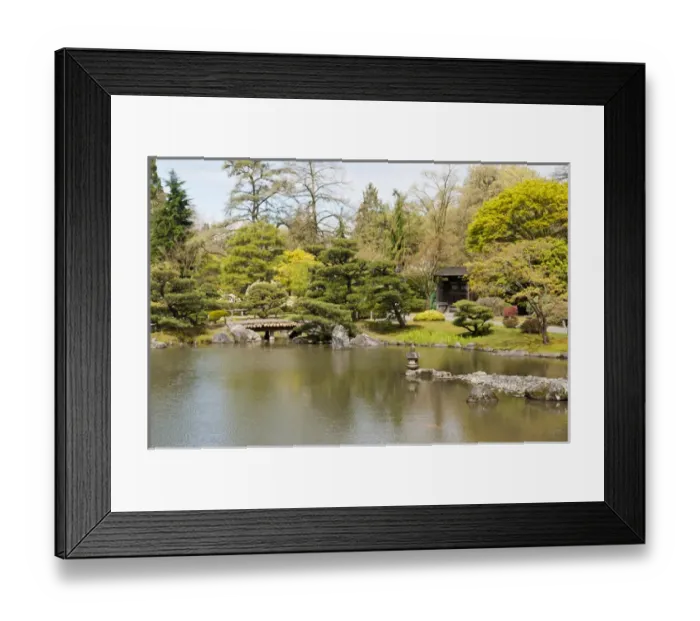 Framed Print : USA, WA, Seattle. Japanese Gardens part of Washington Park Arboretum managed by City Framed Print : USA, WA, Seattle. Japanese Gardens part of Washington Park Arboretum managed by City