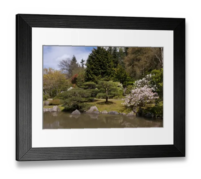 Framed Print : USA, WA, Seattle. Japanese Gardens part of Washington Park Arboretum managed by City Framed Print : USA, WA, Seattle. Japanese Gardens part of Washington Park Arboretum managed by City