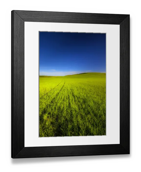 Framed Print : USA, Washington, Spring in Palouse Country Washington Framed Print : USA, Washington, Spring in Palouse Country Washington