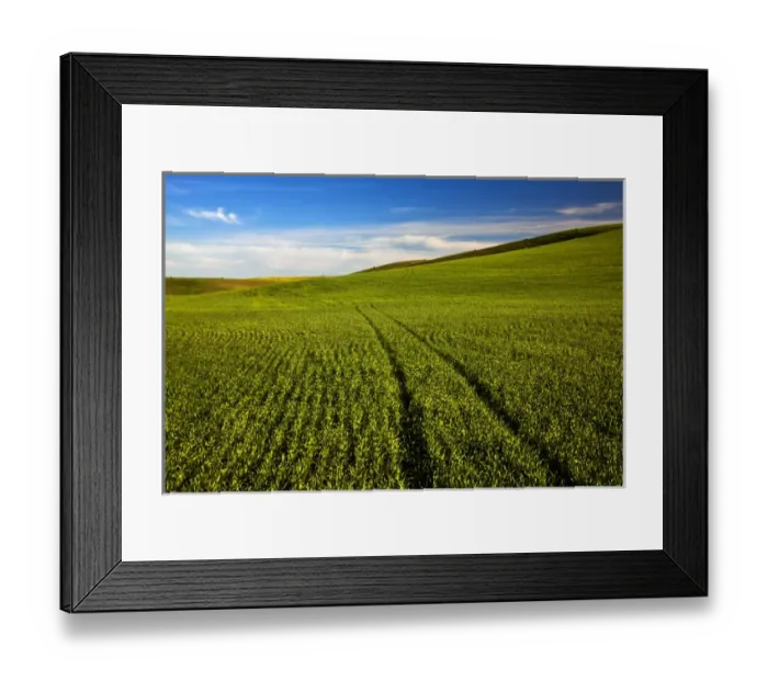 Framed Print : USA, Washington, Spring in Palouse Country Washington