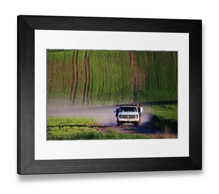 Framed Print : North America, USA, Washington, Spring in Palouse Country Washington Framed Print : North America, USA, Washington, Spring in Palouse Country Washington
