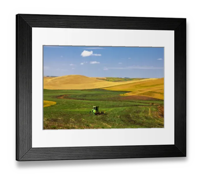 Framed Print : North America; Washington; Palouse Country; Hay Combine in Field Framed Print : North America; Washington; Palouse Country; Hay Combine in Field