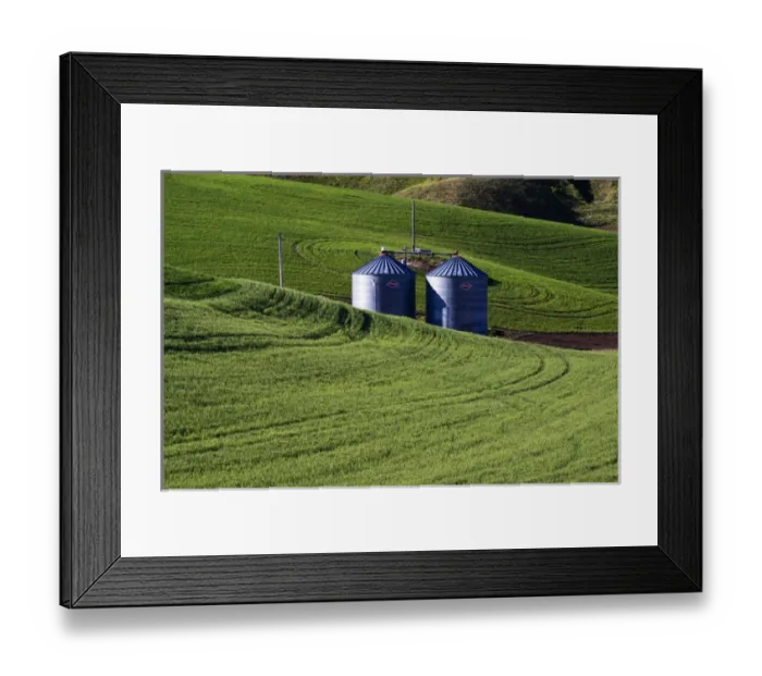 Framed Print : North America, USA, Washington, Spring in Palouse Country Washington Framed Print : North America, USA, Washington, Spring in Palouse Country Washington
