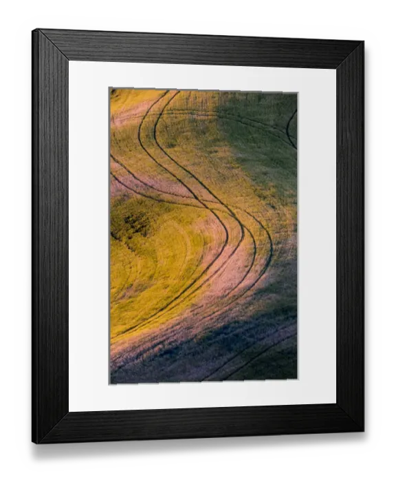 Framed Print : North America; USA; Washington State; Palouse Region;s curve in Wheat Field
