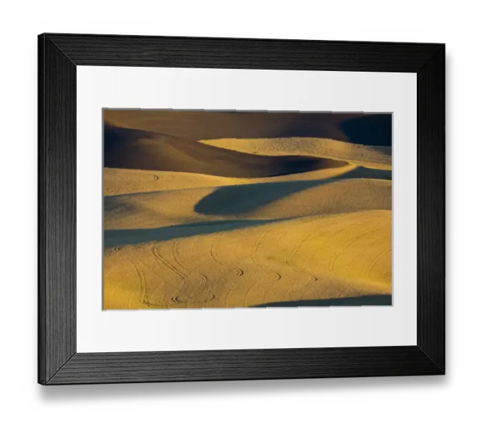 Framed Print : North America; USA; Washington State; Palouse Region; Crops of Wheat and Peas nearing Harvest