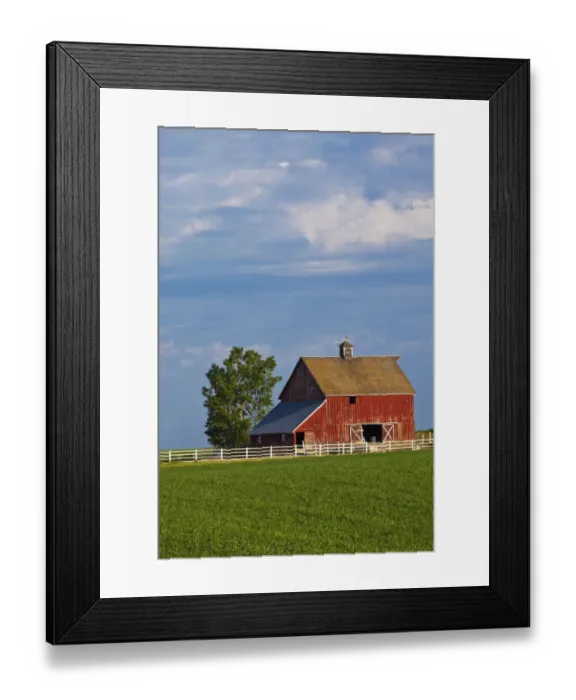 Framed Print : North America; USA; Washington; Red Barn in Spring Wheat Field Framed Print : North America; USA; Washington; Red Barn in Spring Wheat Field