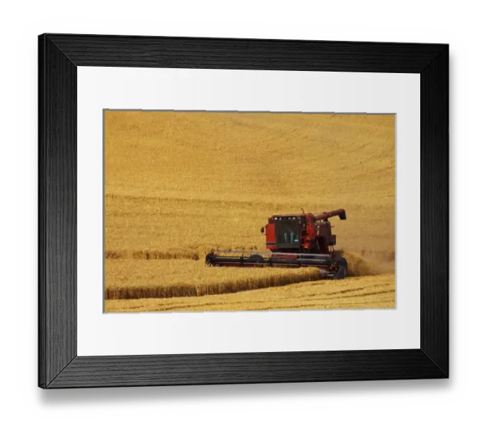 Framed Print : North America; Washington; Palouse Country; Combine Harvesting Wheat Framed Print : North America; Washington; Palouse Country; Combine Harvesting Wheat