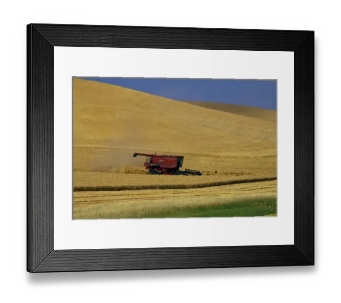Framed Print : North America; Washington; Palouse Country; Combine Harvesting Wheat Framed Print : North America; Washington; Palouse Country; Combine Harvesting Wheat