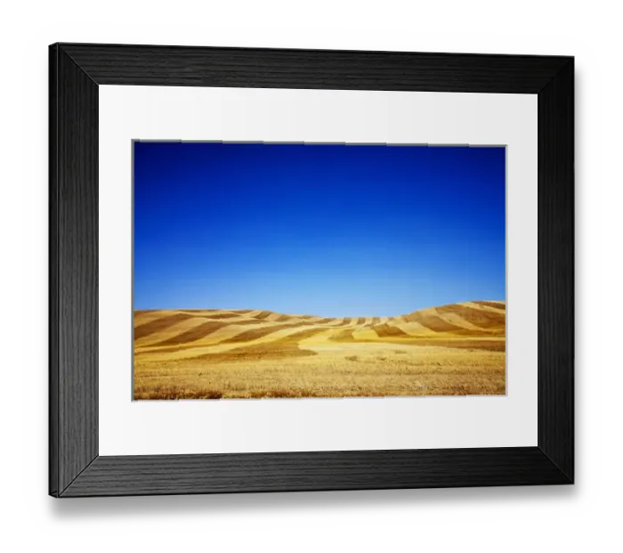 Framed Print : North America, USA, Washington, Palouse Country, Fields of Golden Harvest Wheat Framed Print : North America, USA, Washington, Palouse Country, Fields of Golden Harvest Wheat