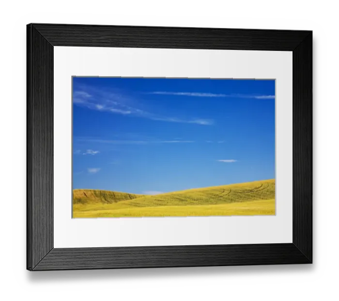 Framed Print : North America, USA, Washington, Palouse Country, Fields of Golden Harvest Wheat Framed Print : North America, USA, Washington, Palouse Country, Fields of Golden Harvest Wheat