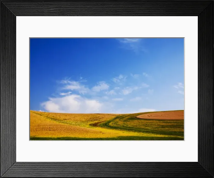 Framed Print : North America, USA, Washington, Palouse Country, Fields of Golden Harvest Wheat Framed Print : North America, USA, Washington, Palouse Country, Fields of Golden Harvest Wheat