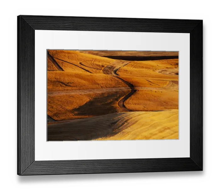 Framed Print : North America, USA, Washington, Palouse Country, Fields of Golden Harvest Wheat