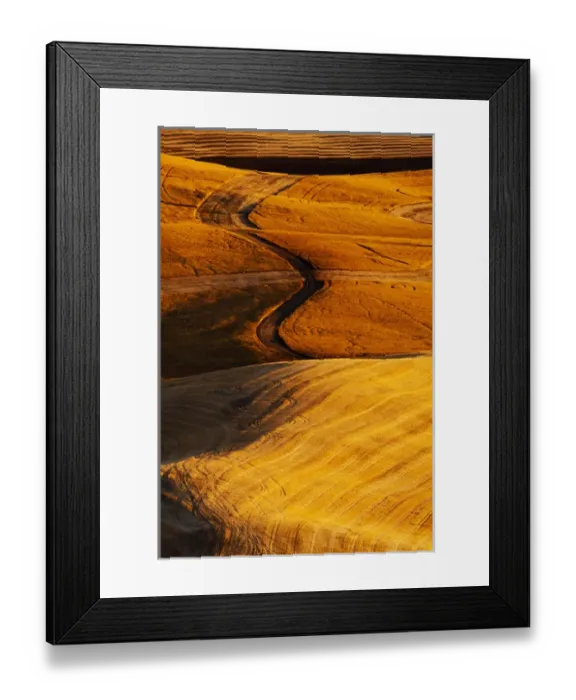 Framed Print : North America, USA, Washington, Palouse Country, Fields of Golden Harvest Wheat Framed Print : North America, USA, Washington, Palouse Country, Fields of Golden Harvest Wheat