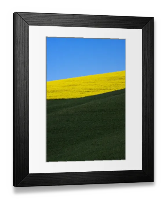 Framed Print : North America, USA, Washington, Palouse Country, Rolling Hills of Canola and Wheat Framed Print : North America, USA, Washington, Palouse Country, Rolling Hills of Canola and Wheat