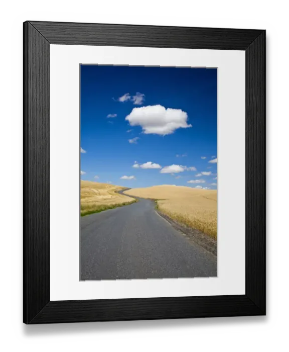 Framed Print : USA, Washington, Palouse Country; Field Backroads Winding through the Country Side