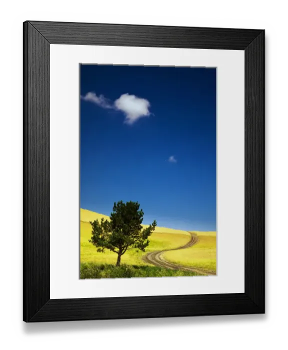 Framed Print : North America; USA; Washington; Palouse Country; Lone Tree in Field of Harvest Wheat Framed Print : North America; USA; Washington; Palouse Country; Lone Tree in Field of Harvest Wheat