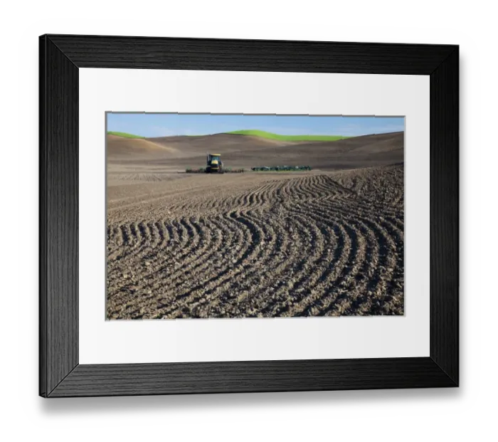 Framed Print : North America, USA, Washington, Spring in Palouse Country Washington with tractor tilling