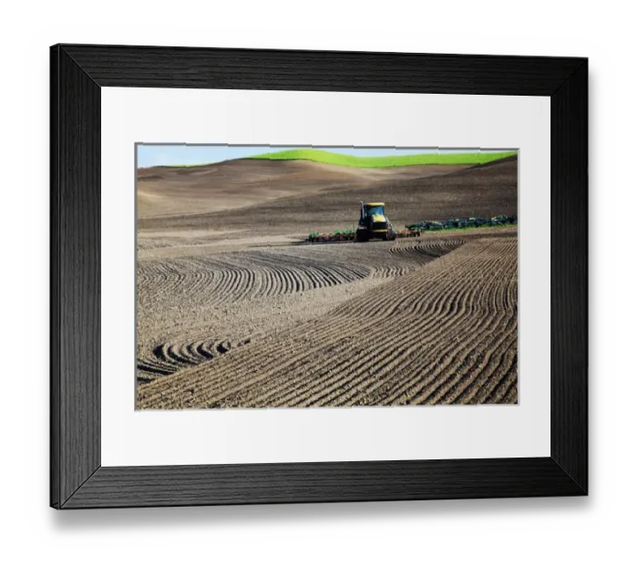 Framed Print : North America, USA, Washington, Spring in Palouse Country Washington with tractor tilling