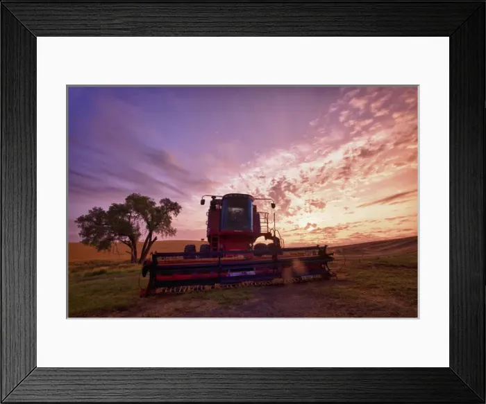 Framed Print : North America; Washington; Palouse Country Framed Print : North America; Washington; Palouse Country