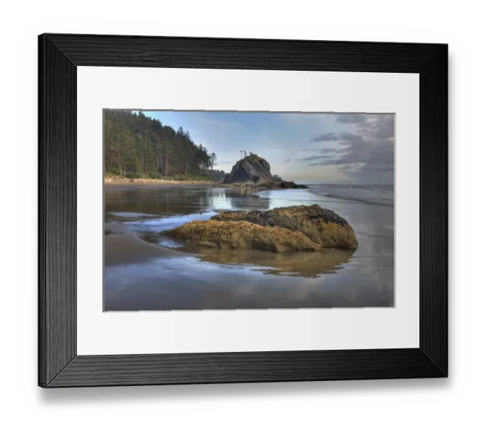 Framed Print : Low tide. Olympic National Park, Washington, US Framed Print : Low tide. Olympic National Park, Washington, US
