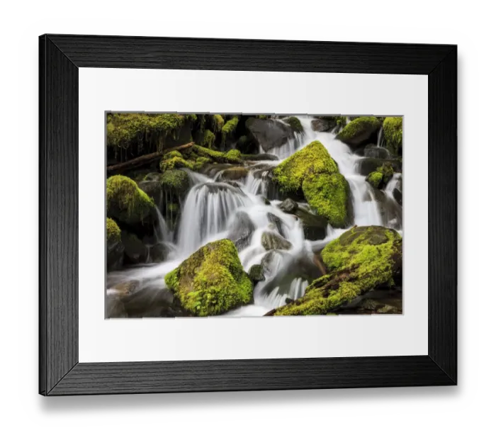 Framed Print : Lush waterfall. Olympic National Park, Washington, US Framed Print : Lush waterfall. Olympic National Park, Washington, US