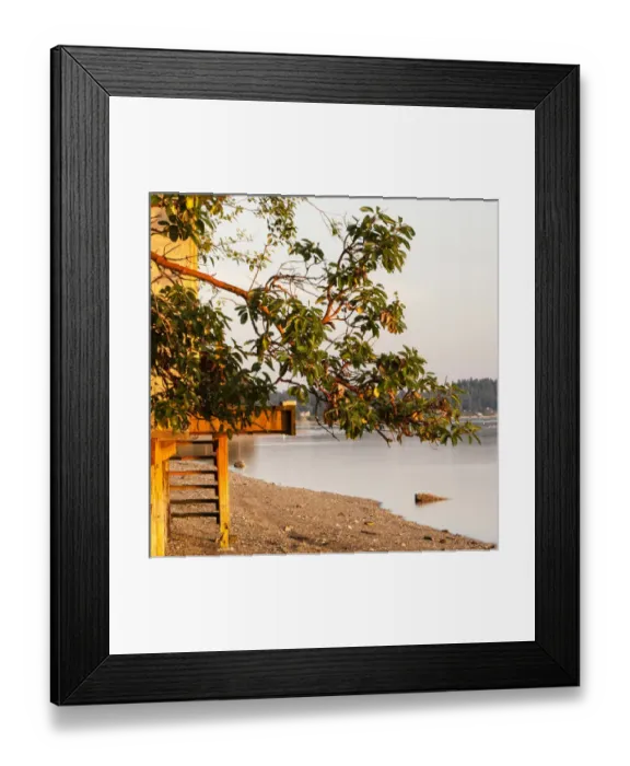 Framed Print : Sunset light on beach. Olympic peninsula, Washington, US