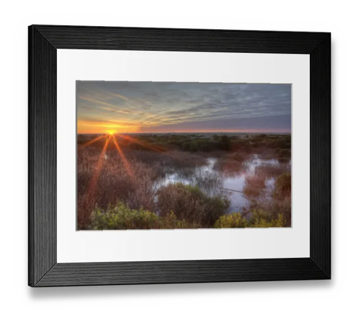Framed Print : Sunset over wetlands at Ocean Shores. Washington, US Framed Print : Sunset over wetlands at Ocean Shores. Washington, US