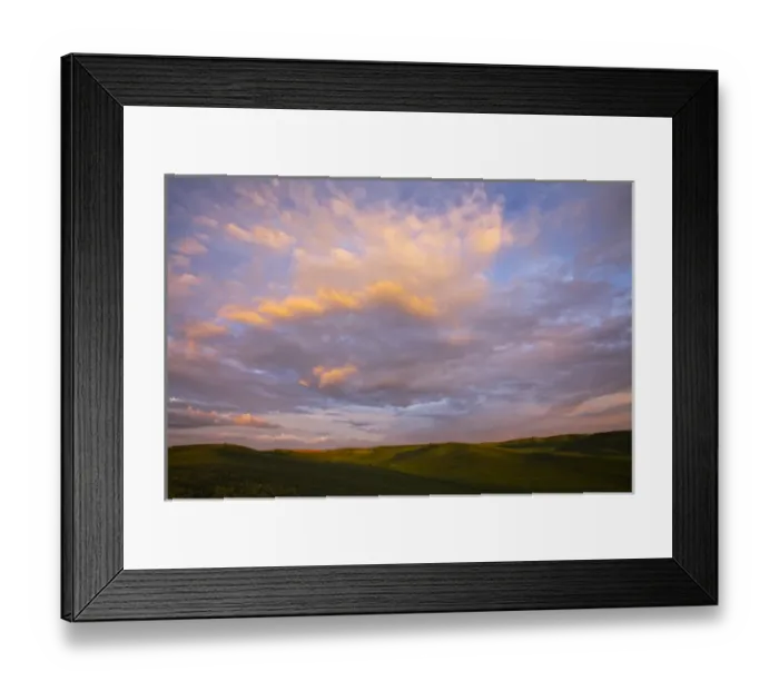 Framed Print : North America; USA; Washington; Palouse Country; Rolling Hills of Green Spring Wheat Framed Print : North America; USA; Washington; Palouse Country; Rolling Hills of Green Spring Wheat