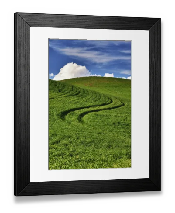Framed Print : North America; USA; Washington; Palouse Country; Rolling Hills of Green Spring Wheat Framed Print : North America; USA; Washington; Palouse Country; Rolling Hills of Green Spring Wheat