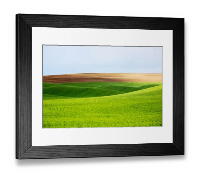 Framed Print : North America; USA; Washington; Palouse Country; Spring Rolling Hills of Wheat and Fallow Framed Print : North America; USA; Washington; Palouse Country; Spring Rolling Hills of Wheat and Fallow