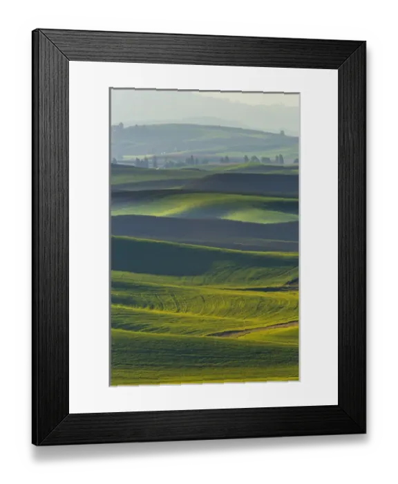 Framed Print : North America; USA; Washington; Palouse Country; Spring Rolling Hills of Wheat and Fallow Framed Print : North America; USA; Washington; Palouse Country; Spring Rolling Hills of Wheat and Fallow