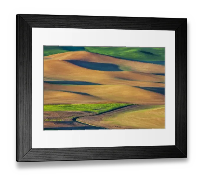 Framed Print : North America; USA; Washington; Palouse Country; Spring Rolling Hills of Wheat and Fallow Framed Print : North America; USA; Washington; Palouse Country; Spring Rolling Hills of Wheat and Fallow