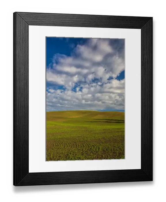 Framed Print : North America; USA; Washington; Palouse Country; Spring Rolling Hills of Wheat and Fallow Framed Print : North America; USA; Washington; Palouse Country; Spring Rolling Hills of Wheat and Fallow