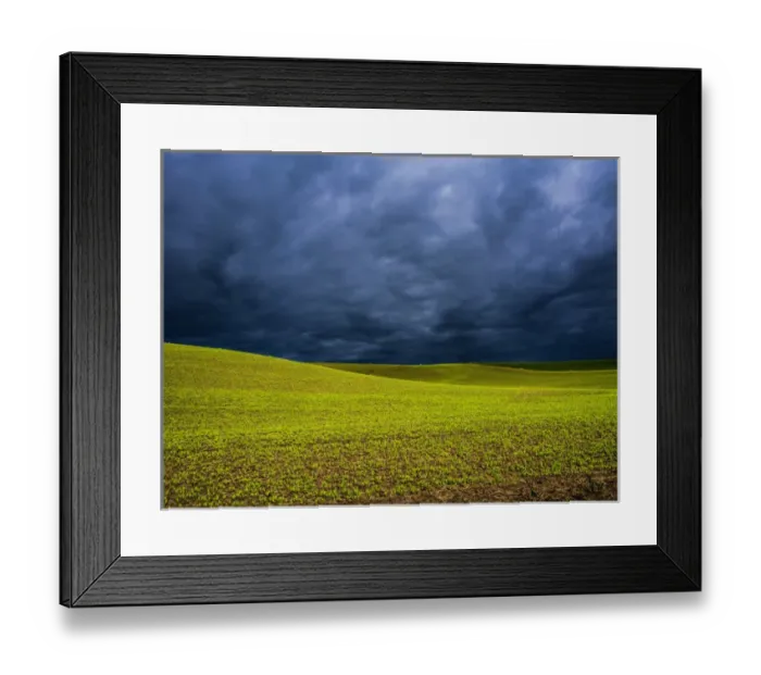Framed Print : North America; USA; Washington; Palouse Country; Spring Field of Peas With Storm Coming Framed Print : North America; USA; Washington; Palouse Country; Spring Field of Peas With Storm Coming
