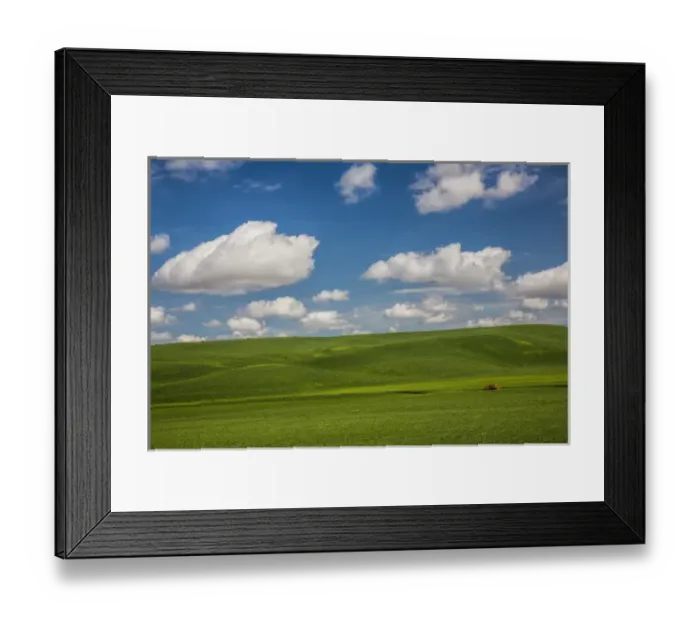 Framed Print : North America; USA; Washington; Palouse Country; Spring Rolling Hills of Wheat and Fallow