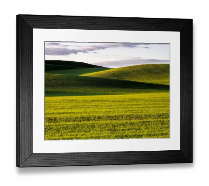 Framed Print : North America; USA; Washington; Palouse Country; Rolling Green Hills of Spring Wheat Framed Print : North America; USA; Washington; Palouse Country; Rolling Green Hills of Spring Wheat