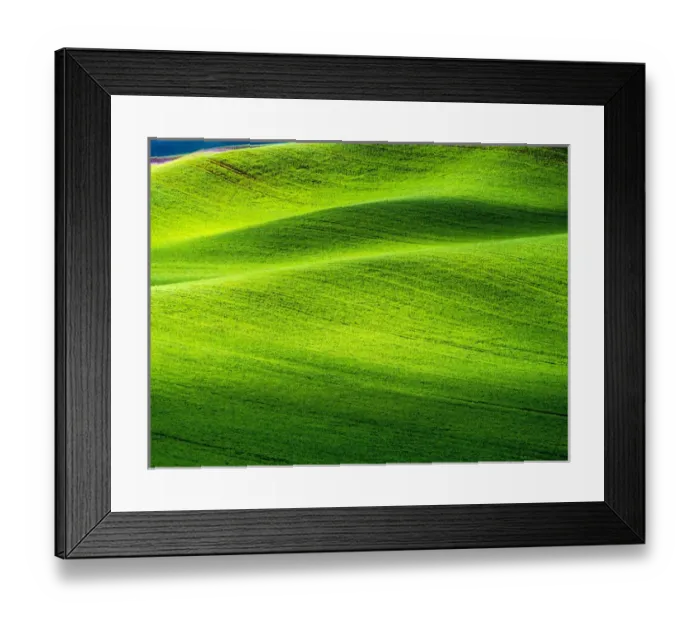Framed Print : North America; USA; Washington; Palouse Country; Rolling Green Hills of Spring Wheat Framed Print : North America; USA; Washington; Palouse Country; Rolling Green Hills of Spring Wheat
