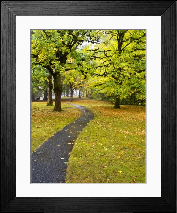 Framed Print : North America; USA; Washington; Newhalem; Trail leading through Autumn color in Newhalem