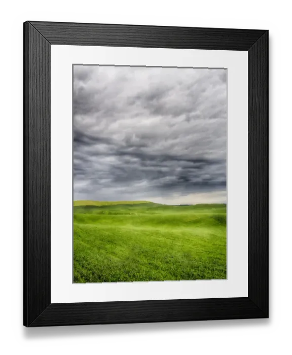 Framed Print : North America; USA; Washington; Palouse Country; Spring Wheat Field With Storm Coming