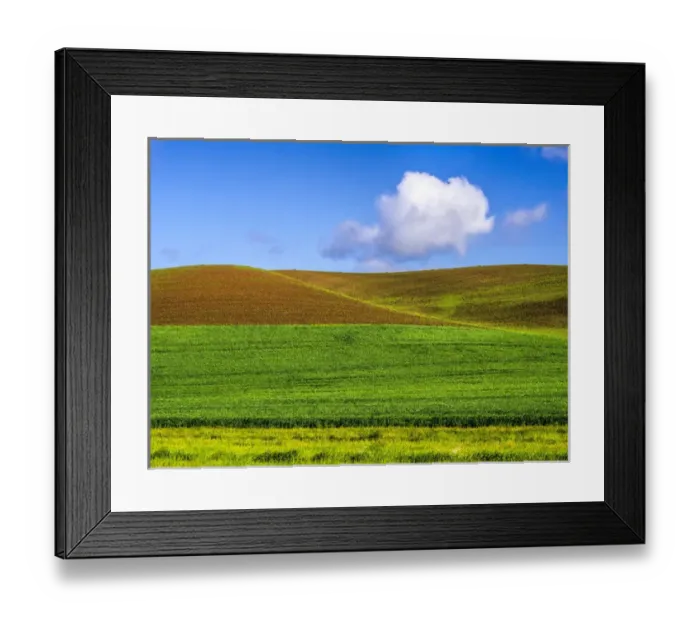 Framed Print : North America; USA; Washington; Palouse Country; Spring Wheat Field and Clouds