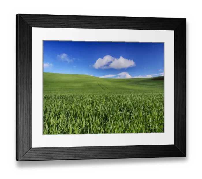 Framed Print : North America; USA; Washington; Palouse Country; Spring Wheat Field and Clouds Framed Print : North America; USA; Washington; Palouse Country; Spring Wheat Field and Clouds