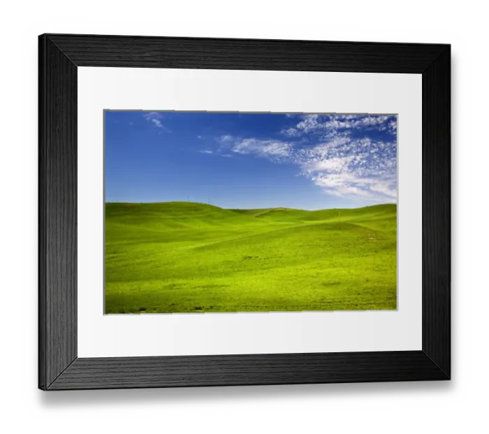 Framed Print : Green Wheat Grass Fields Blue Skies Palouse Washington State Pacific Northwest Framed Print : Green Wheat Grass Fields Blue Skies Palouse Washington State Pacific Northwest