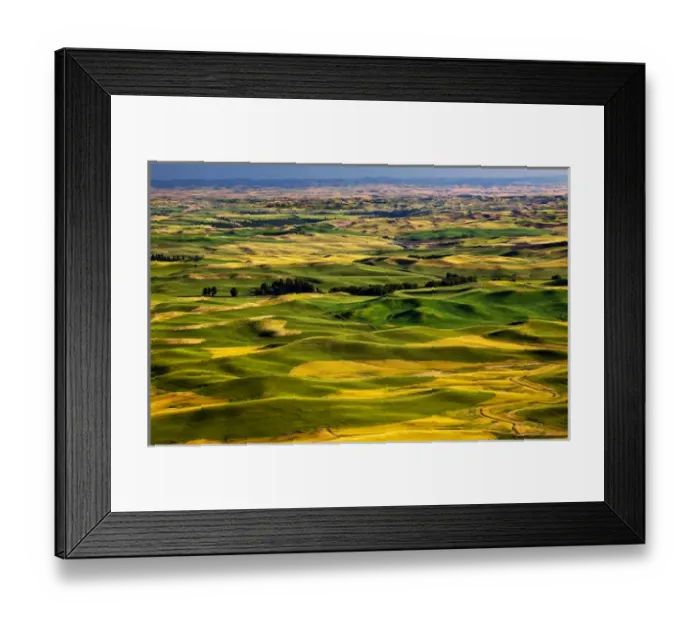 Framed Print : Yellow Green Wheat Fields Roads and Farms from Steptoe Butte at Palouse Washington Framed Print : Yellow Green Wheat Fields Roads and Farms from Steptoe Butte at Palouse Washington